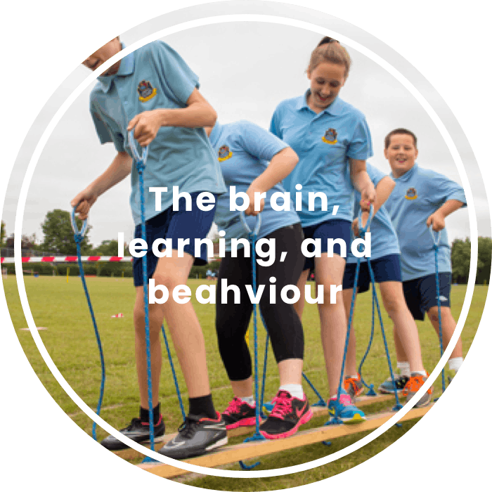 The brain, learning, and behaviour